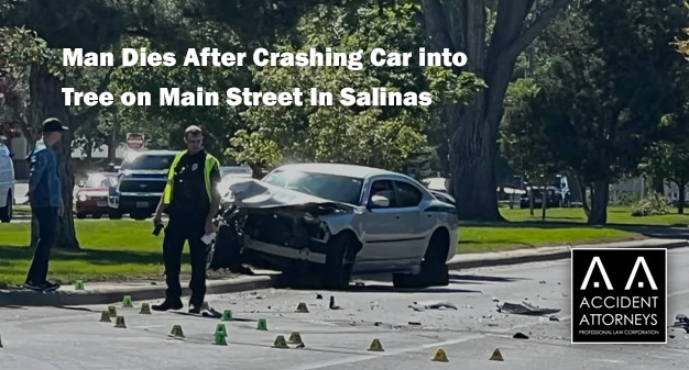 Richard Shannon Dies After Crashing Car into Tree on Main Street In Salinas