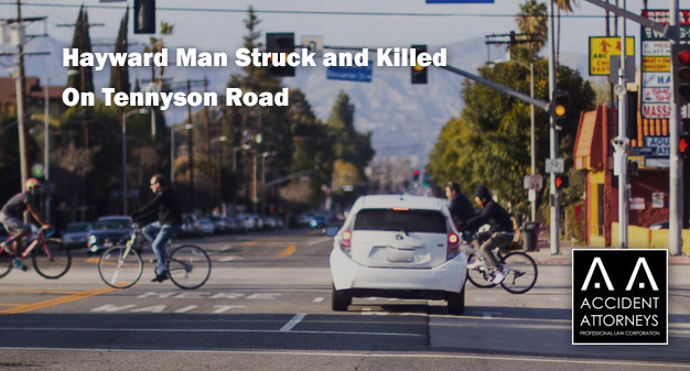 Hayward Man Struck and Killed On Tennyson Road